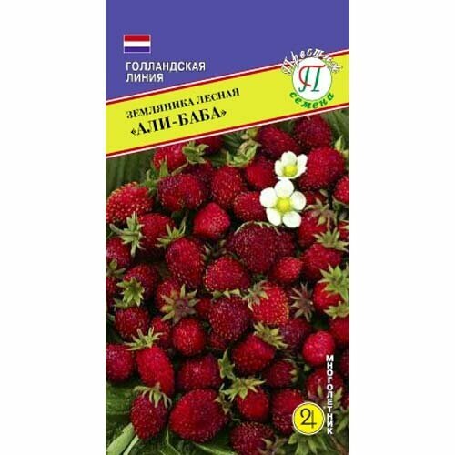 ���� ��������� ������ ���-����. ������. �����������. ��������� ����. ����� �������, ������ 5 ��. ������ �������-�����, �����-�������