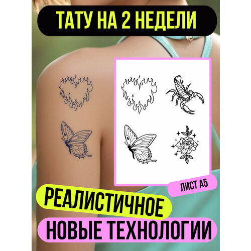 ���� ���� ���������� �������������� ��������