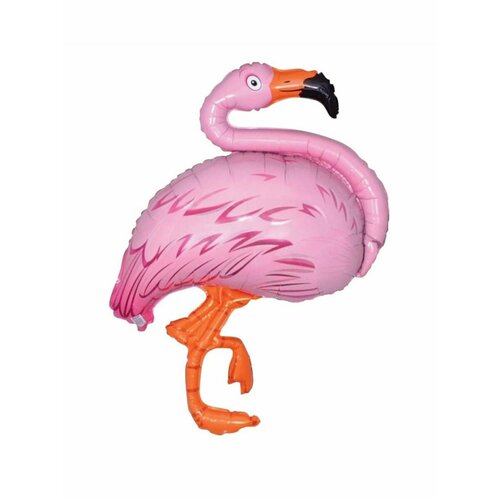 ���� ��� �� ������� ���� ������ ��������