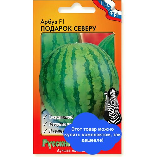 ���� ������ ������ ������� ������ 