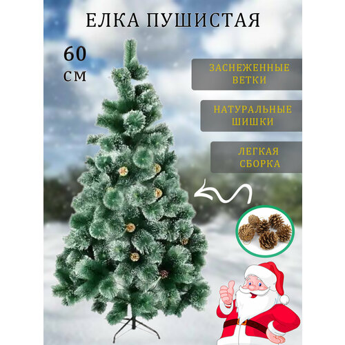 ���� ������������� ���� �� ���. �������� ������ � ���. ������ 60 ��.