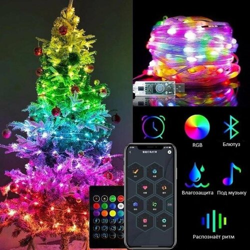      RaslGoodS RGB 10 , 100 LED  -     , -  