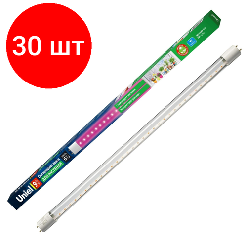    30 ,  Uniel LED-T8-9W/SPSB/G13/CL PLP30WH  T8,   -     , -,   