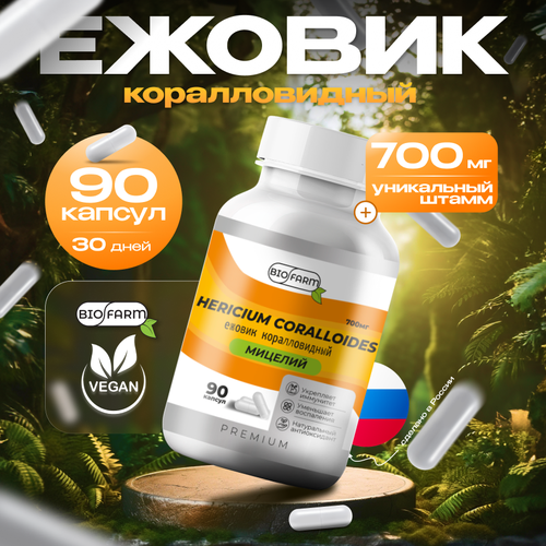 ���� ������ ������������� 700��, ������� ������ �������, hercium coralloides