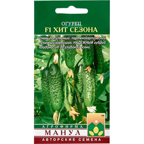 ���� ������ ��� ������ F1