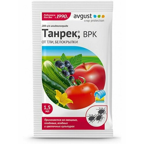 ���� ������ �� ��� ������ 1.5��