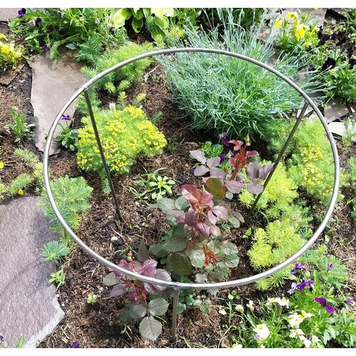 ���� ������� ��� �������� ��� ������� ��� ��������� ����� ��� ������ ������������� ������ 50�� ������ 60 ��