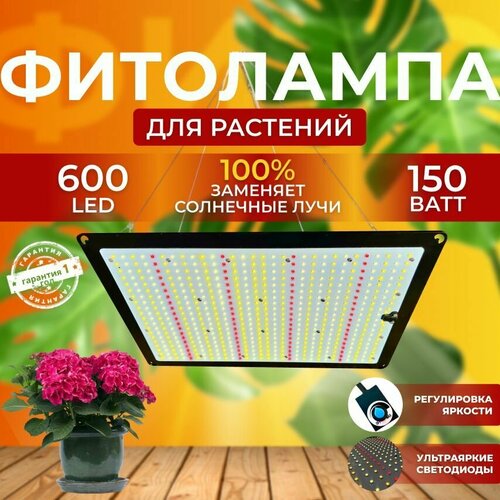              Quantum board 150  600 LED