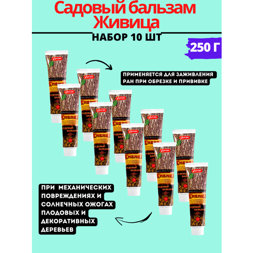 ���� ����� ������� ������� ������ 250 �, 10��