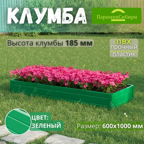 ���� ������� ������/������ �� ���, ��������, 