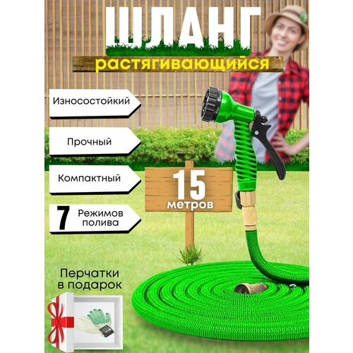 ���� ����� ������� ���������� ���������������, 15 ������