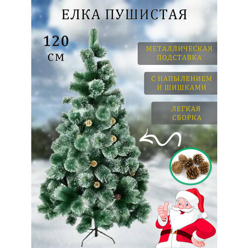 ���� ������������� ���� �� ���. �������� ������ � ���. ������ 120 ��.