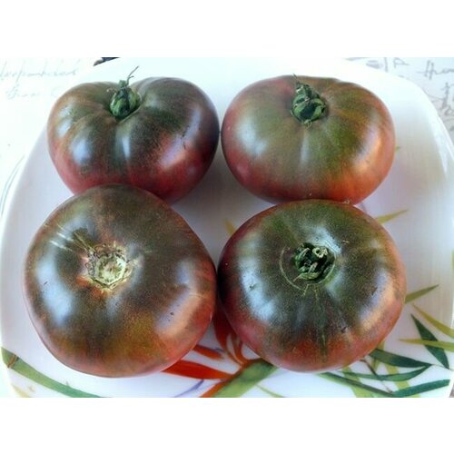 ���� ������������� ������ ����� ������