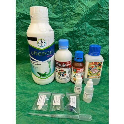 ���� ��������� ��� ��������� ��������� �������� �� ��������� ����������