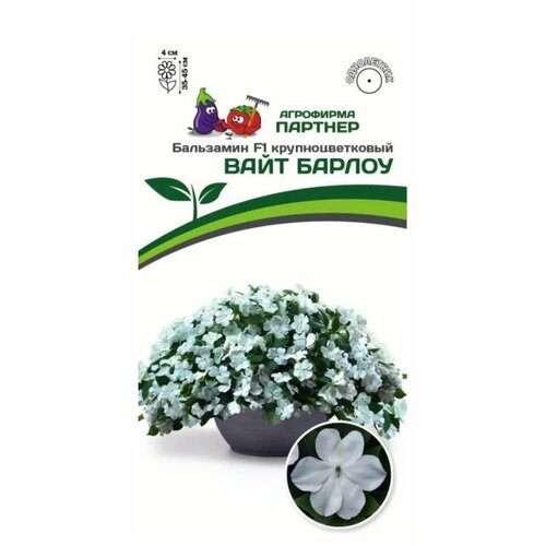 ���� ������ ���������� ������� ���������������� 