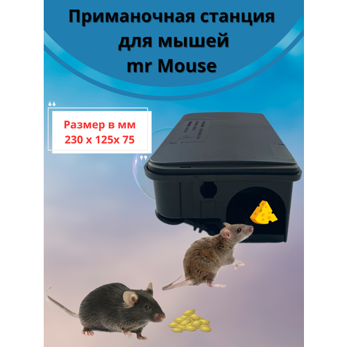   Mr. Mouse      -     , -,   