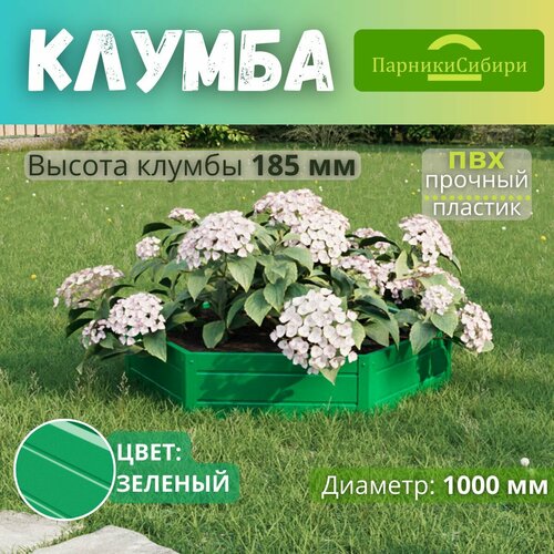 ���� ������� ������/������ �� ���, ��������, 