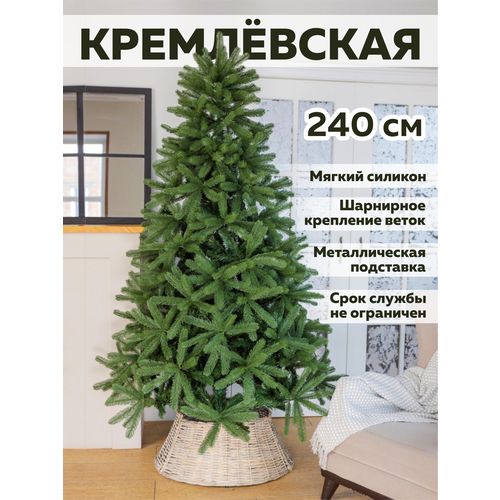 ���� ���� ����������� - ������������� ���� ����� � ��� 240 ��