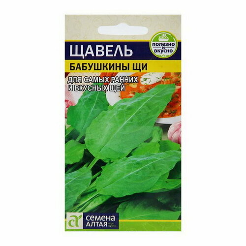 ���� ������ ������ 