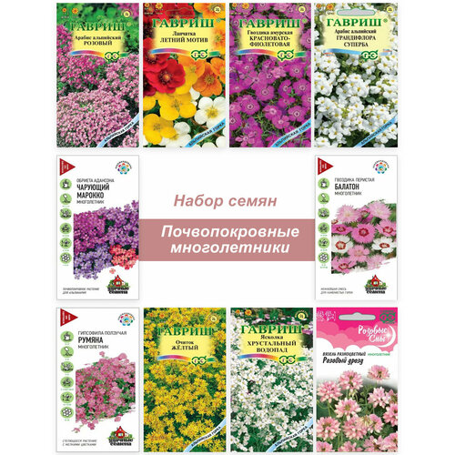 ���� ����� �����, ������ �������������� ����������� ������ ��� ����