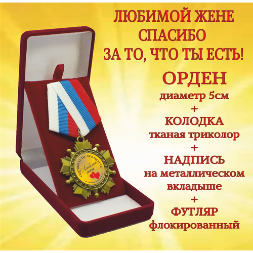 ���� ����� ������ 