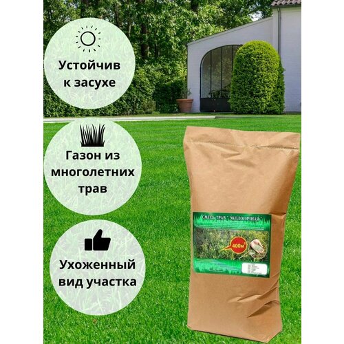 ���� �������� ����� ������ ����������� 20��, ����������