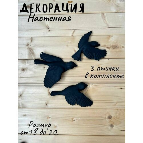 ���� ����� ������������ (�� �����, ��� ����, ��������� ���������) ������ ,3 ��