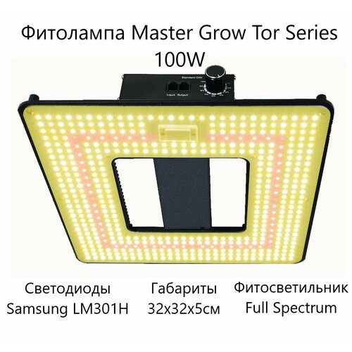      Master Grow Tor Series 100W,   .  -     , -,   