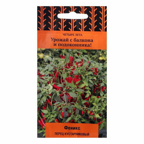 ���� ������ ����� ������ ������������� 