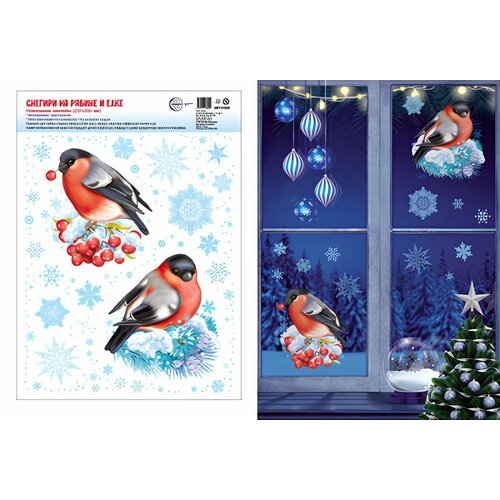 ���� ���������� �������� �� ���� � ����� 