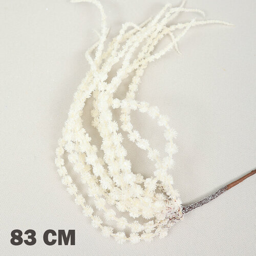 ���� �������������� ��������� (������� ����� 82 ��)