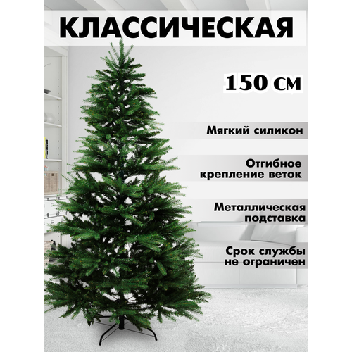 ���� ������������� ���� 