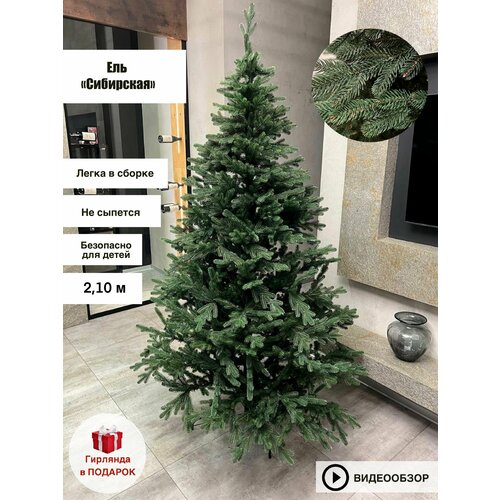 ���� ������������� ���� 