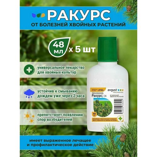 ���� �������� �� �������� ������� �������� ������ 48 ��, 5 ��