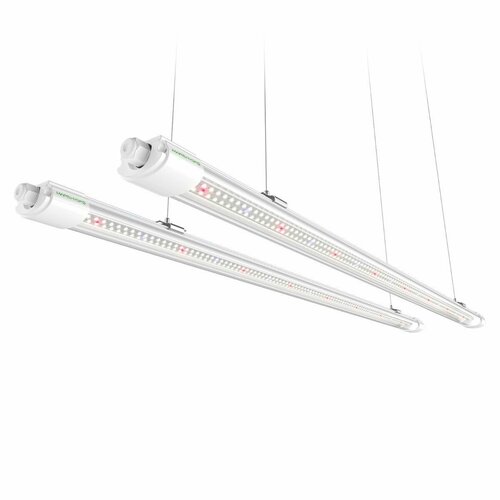    Mars Hydro VG80 Led 2  40   -     , -,   