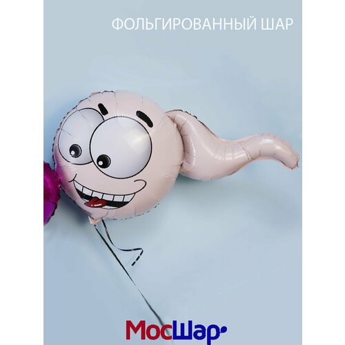 ���� ��������� ���� �� ��������, �������������� 80 �� ������