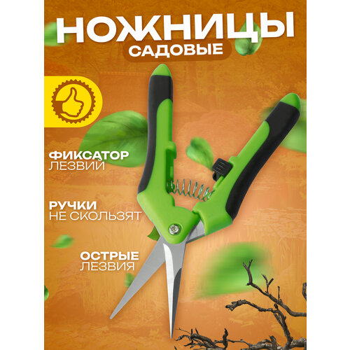 ���� ������� ������� / ������� ��� �������� ������, ���������, �������, ���������