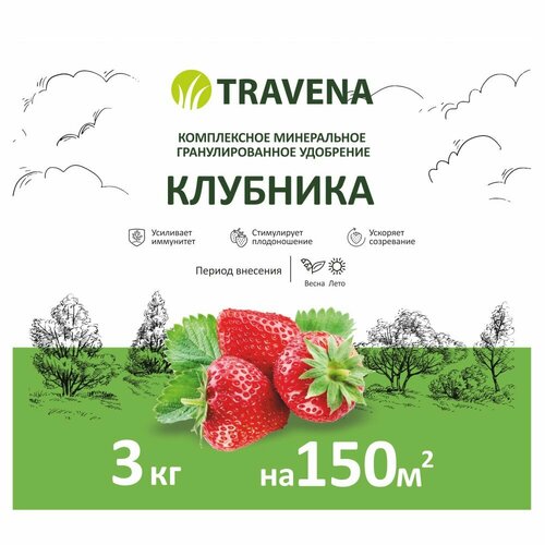       TRAVENA 3   -     , -,   