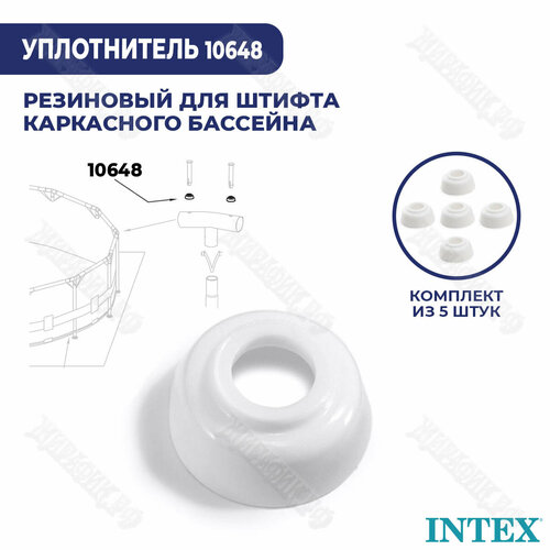      Intex 10648 (- 5 )  -     , -,   
