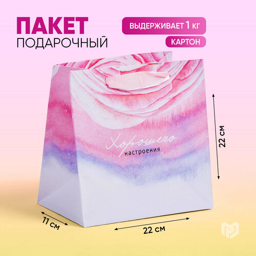 ���� ����� ���������� ���������� ���������, 22 � 22 � 11 ��