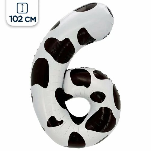 ���� ��������� ��� ����� 6, ��������� �����, 102 ��