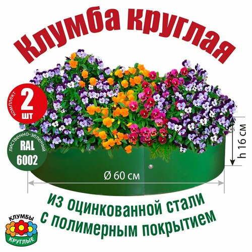 ���� ������ ������� ������� �� ������������ ����� � ���������� ���������