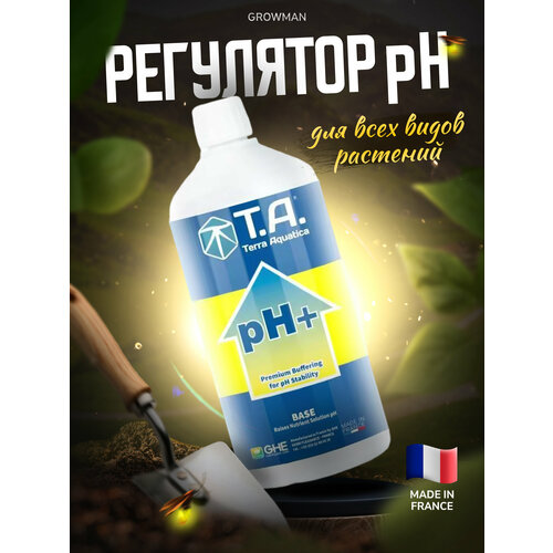   pH+ T.A. (GHE)  1 .  -     , -,   
