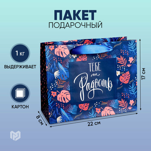 ���� ����� ���������� ������ ������� ���� �� �������, 22 x 17,5 x 8 ��, �������/�����/������