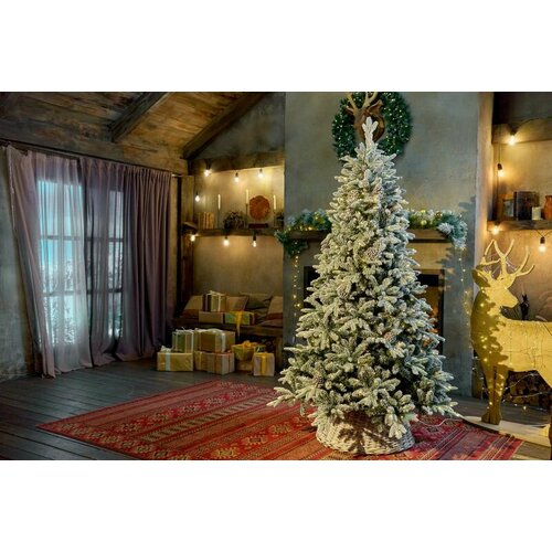 ���� ������������� ���� Saint Paul LED ����������� � ����������� ������ 180 ��