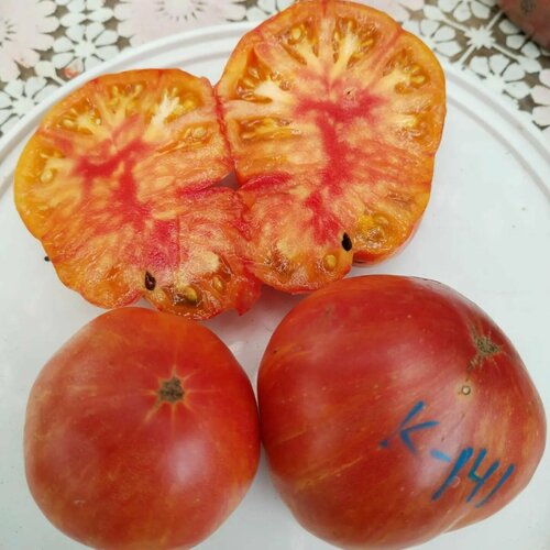 ���� ������������� ������ ������ ������ 174/ 1