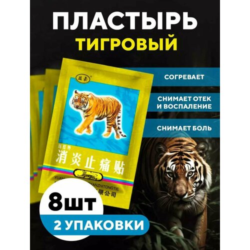 ���� �������� �������� 8 ��