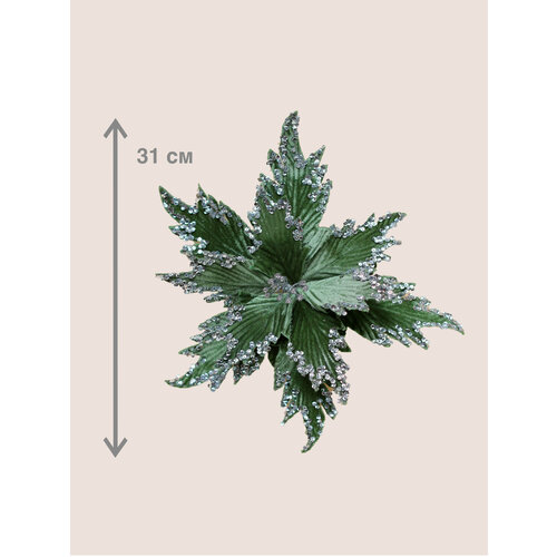 ���� ������ ������������� ������������ ����������, ������� 31 ��, ���� �����-�������