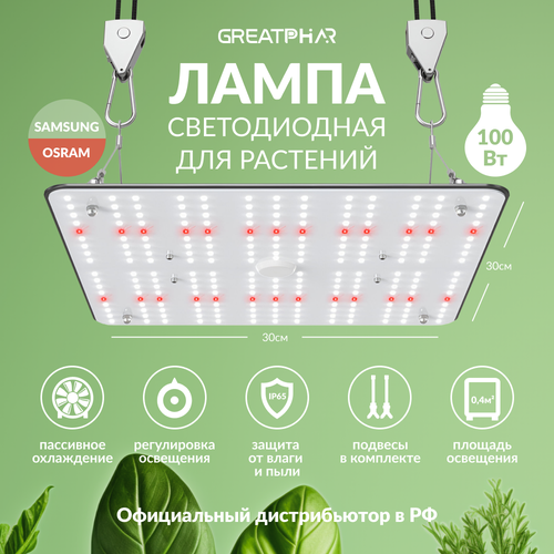    Led  GreatPhar DZ32 100   -     , -,   