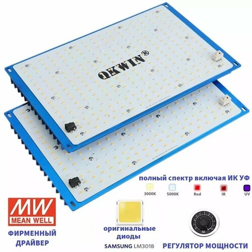     , - quantum board/  / QKWIN 240 , Mean Well,  Samsung LM-301B, 288*2 .      -     , -  